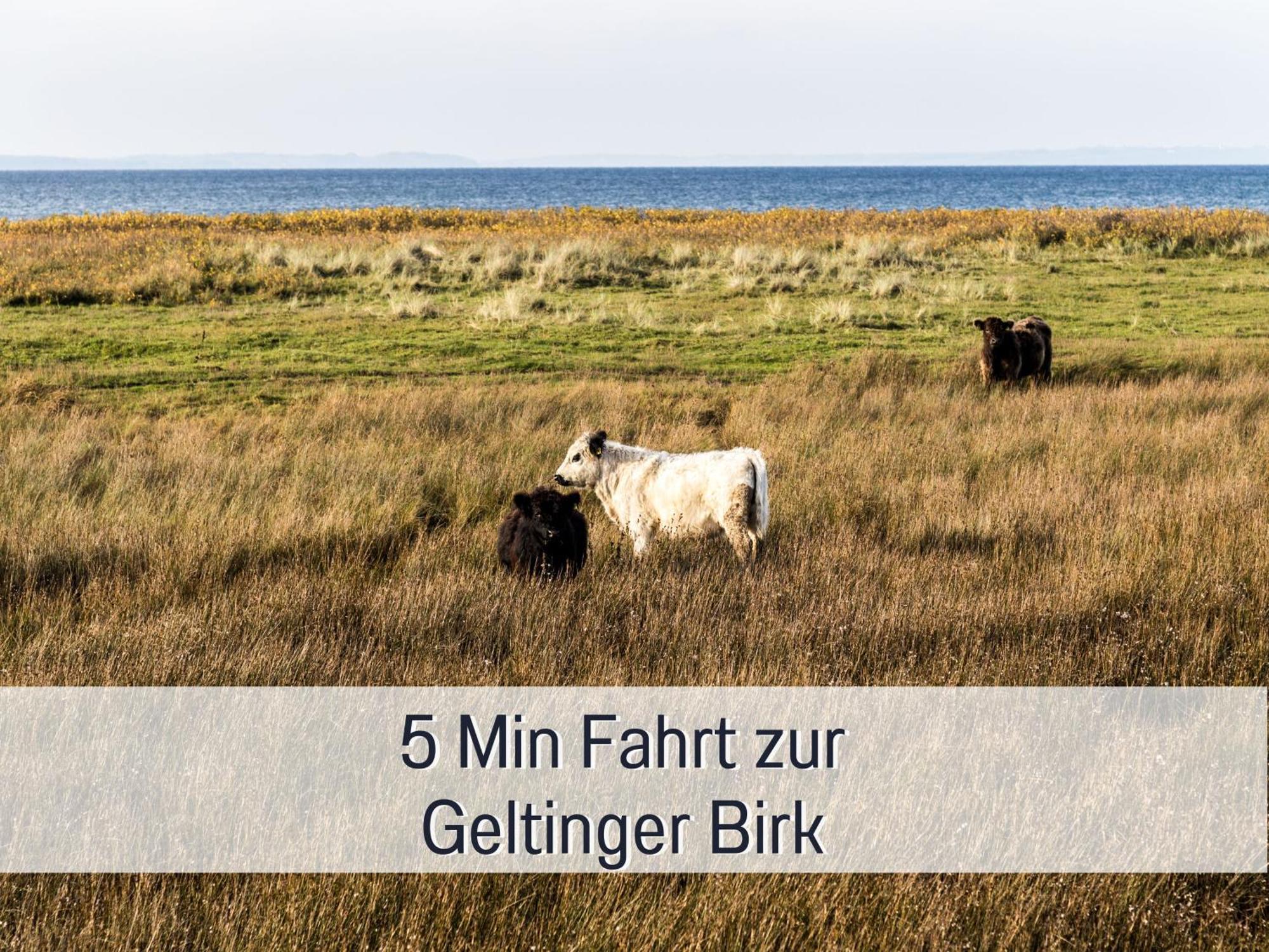 Ferienloft Sternenblick: Beachside Pet-Friendly Retreat with Workation Amenities Steinberg  Exterior photo